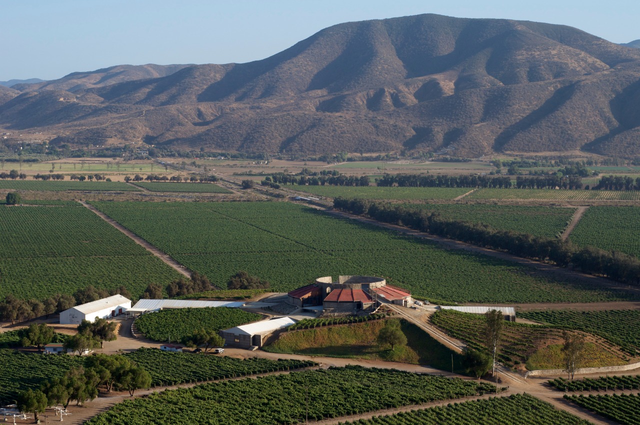 TERRENO (HECTÁREAS) EN VENTA “SANTO TOMAS, BAJA CALIFORNIA”