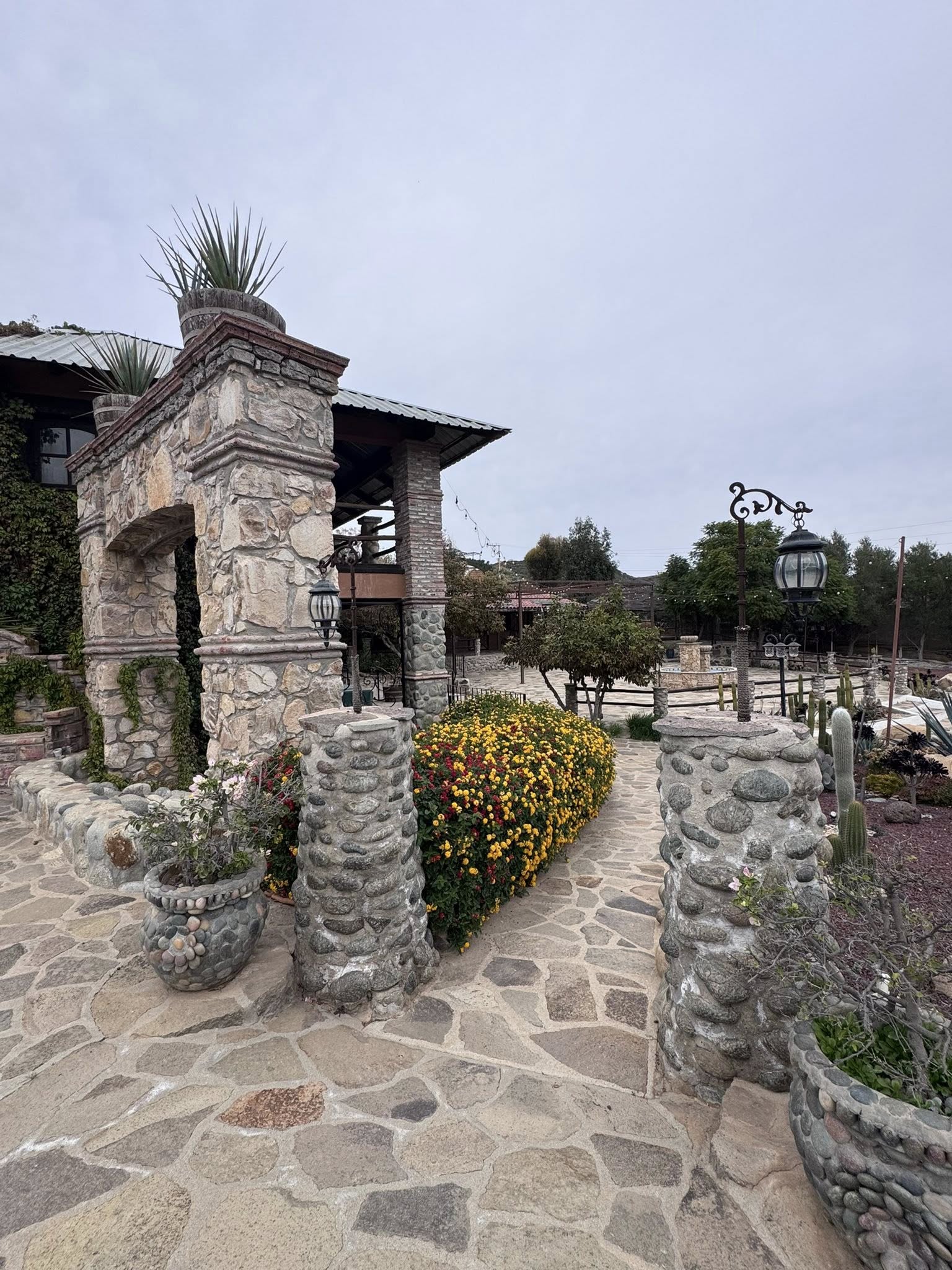 616816958_4196574270585182_525752807647065798_n HACIENDA EN VENTA / VALLE DE GUADALUPE