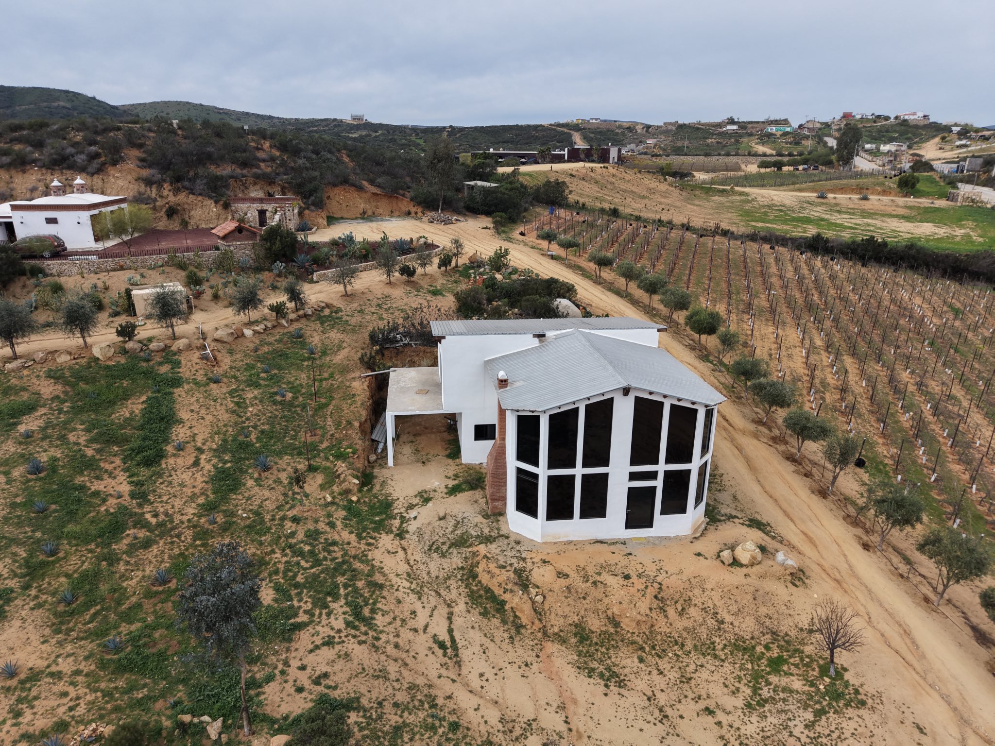 616955213_4196573950585214_8531318484565833268_n HACIENDA EN VENTA / VALLE DE GUADALUPE