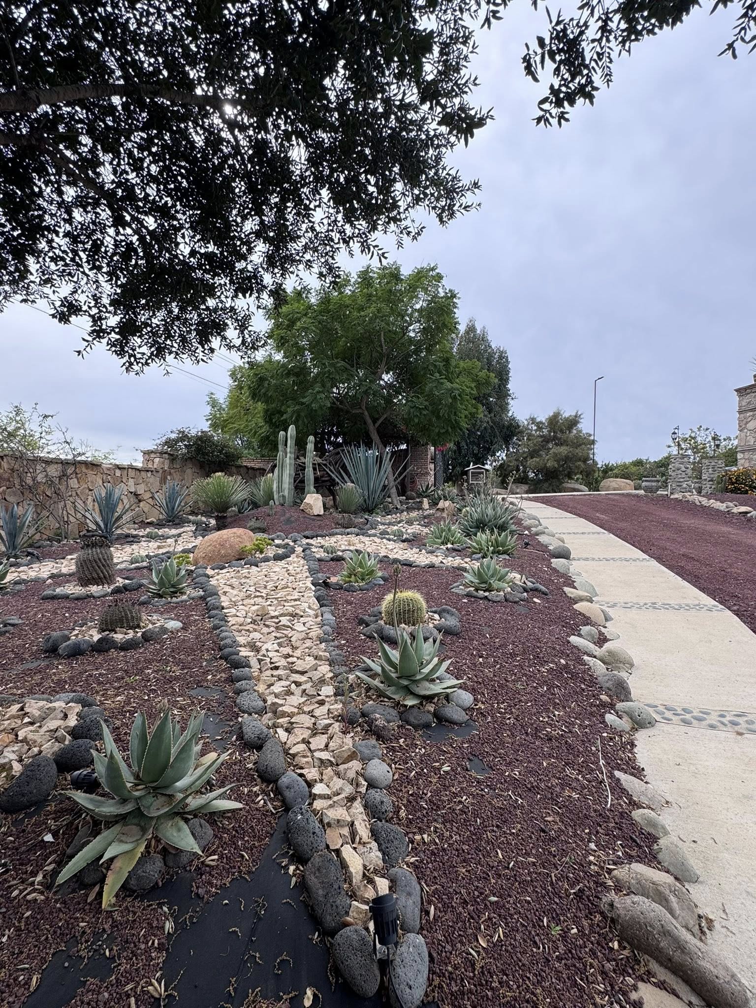 617117020_4196577593918183_2169030920189582403_n HACIENDA EN VENTA / VALLE DE GUADALUPE