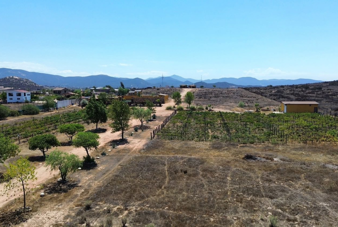 RANCHO EN VENTA EN VALLE DE GUADALUPE