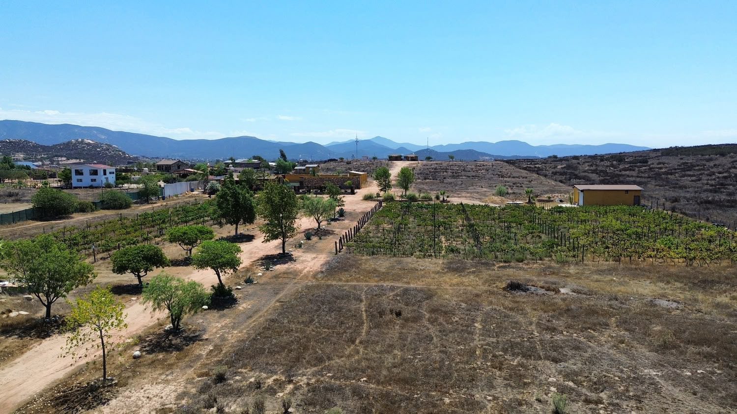 RANCHO EN VENTA EN VALLE DE GUADALUPE