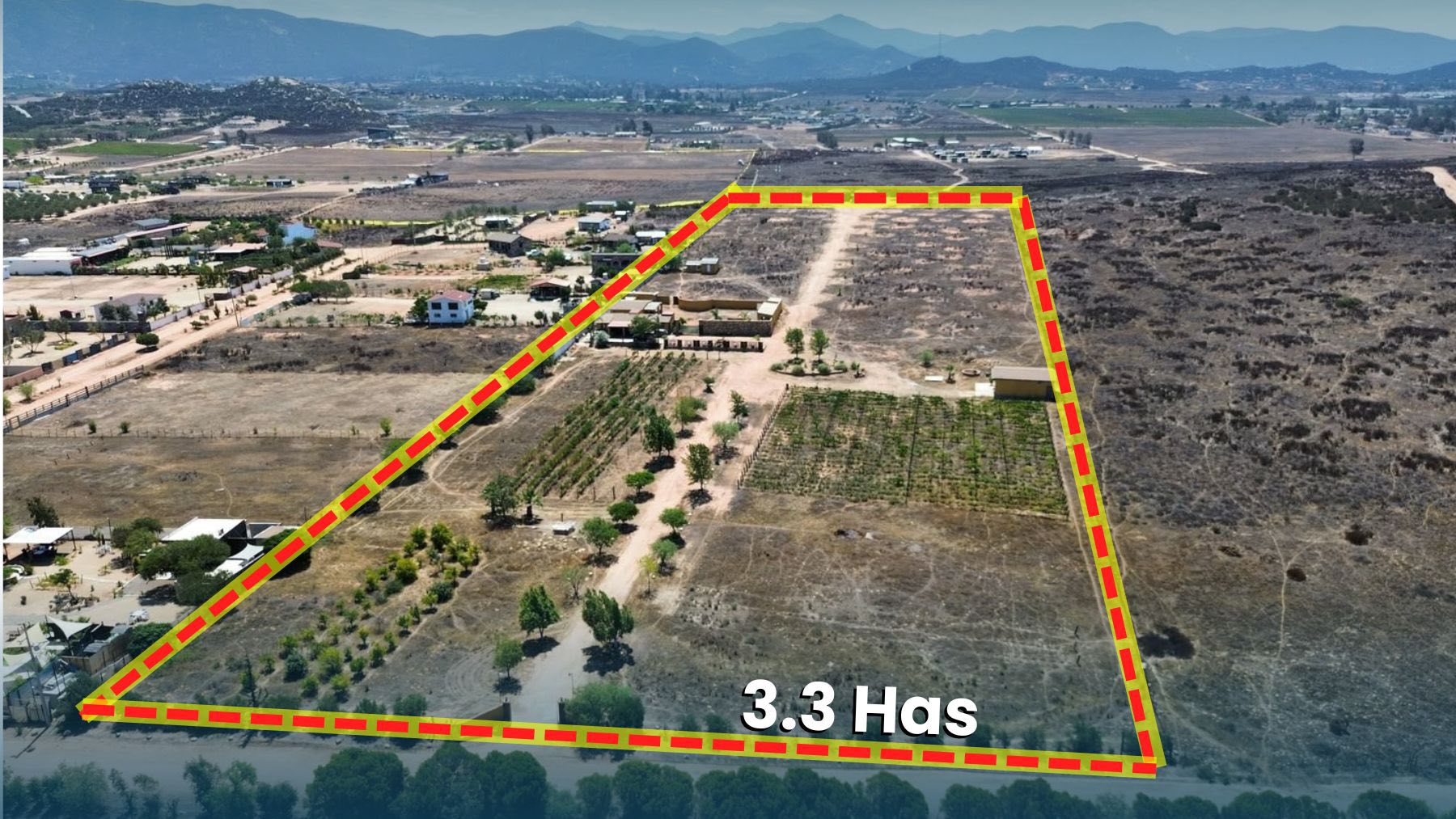 RANCHO EN VENTA EN VALLE DE GUADALUPE
