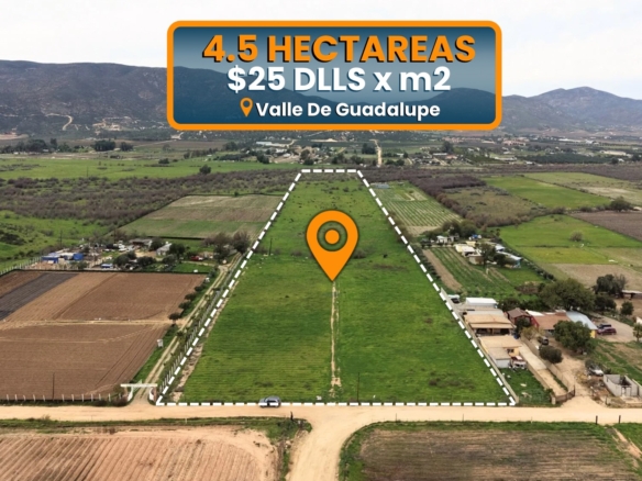 4.5 HECTAREAS EN VENTA EN VALLE DE GUADALUPE
