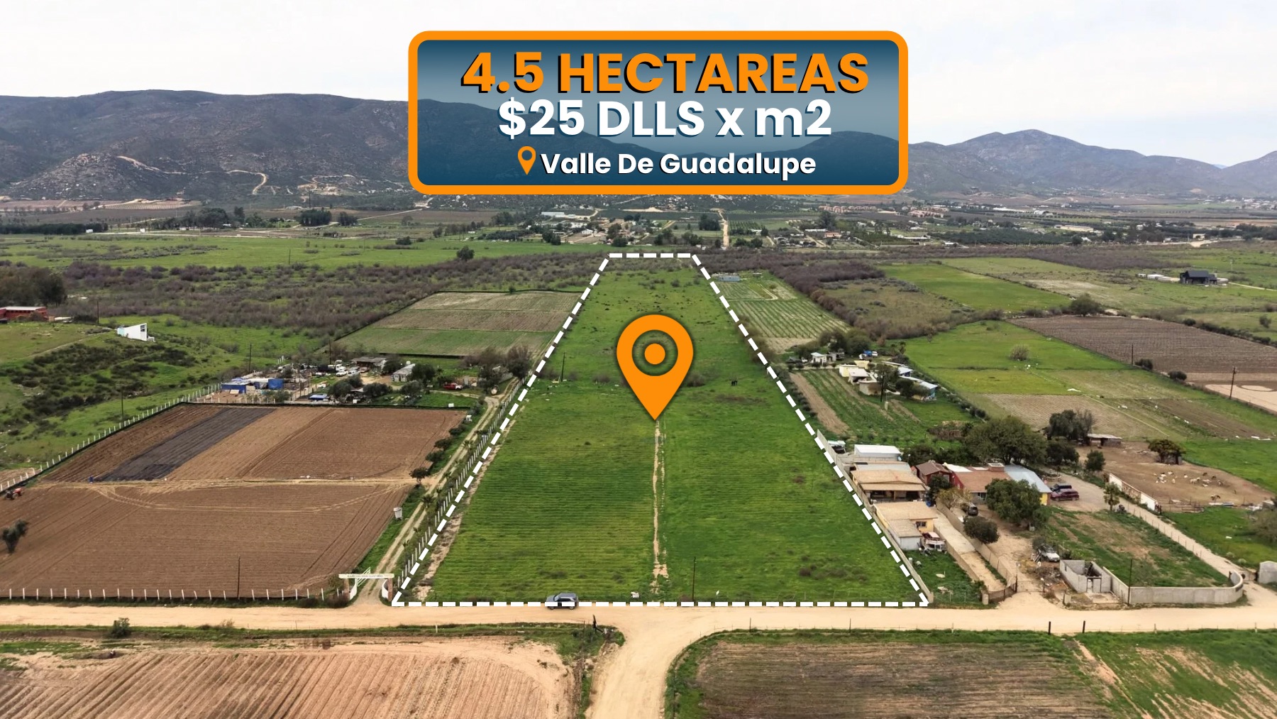 4.5 HECTAREAS EN VENTA EN VALLE DE GUADALUPE