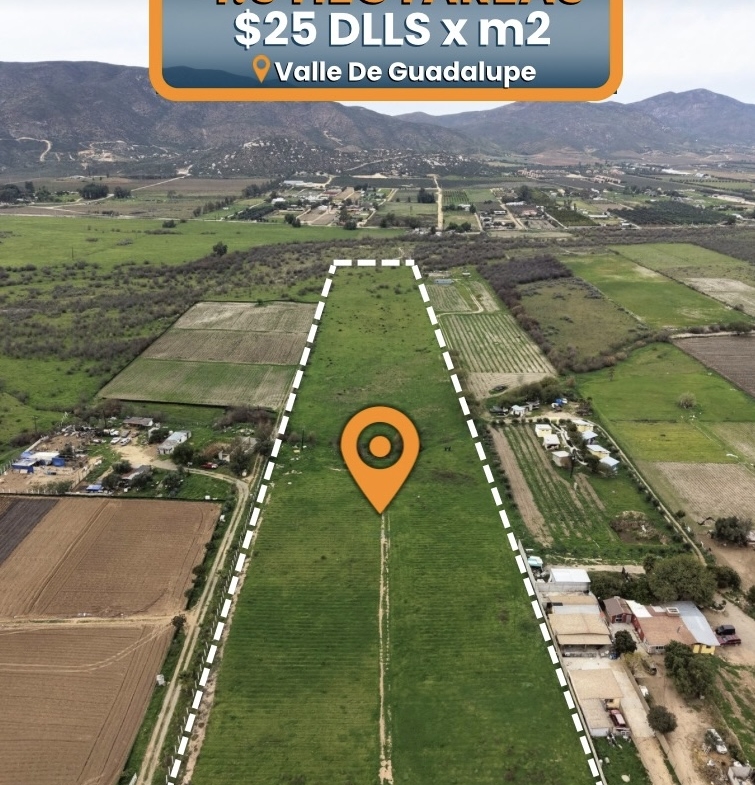4.5 HECTAREAS EN VENTA EN VALLE DE GUADALUPE