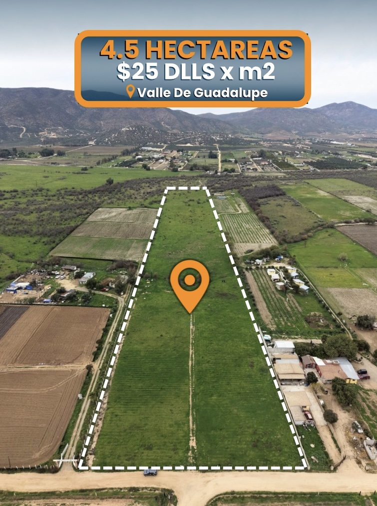 4.5 HECTAREAS EN VENTA EN VALLE DE GUADALUPE
