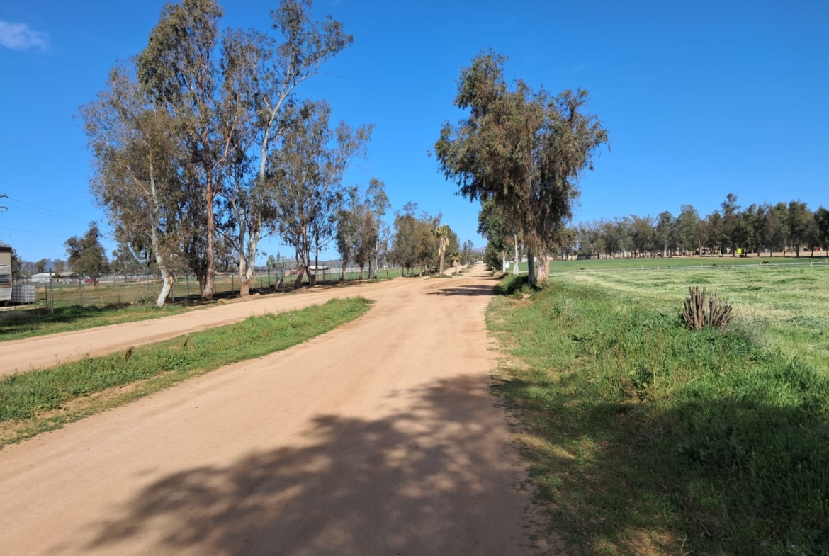Venta Terreno Rustico Campestre en desarrollo los Casian en Ojos Negros Ensenada BC en la Ruta del Queso